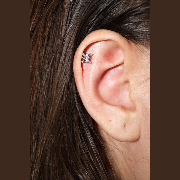 Parlak TAŞLI KAR TANESİ FİGÜRLÜ Kıkırdak, Kulak "snug" "lobe" Kulak Piercing (%100 316L)