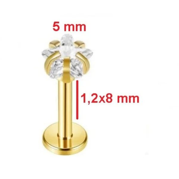 Gösterişli "AGB" Parıltı Yıldız Taşlı 316L Çelik Helix, Dudak & Burun Piercing (%100 "AGB" İbareli)