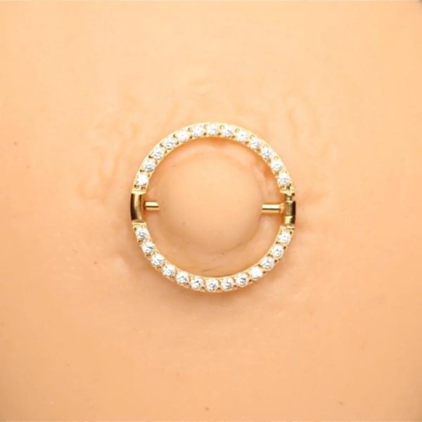 "AGB" Parıltı Taş Çevrili Nipple Piercing | 316L Cerrahi Çelik Halka Figürlü Göğüs Piercing