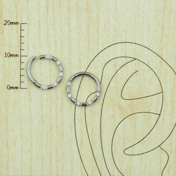%100 Cerrahi Çelik 5 Zirkon Mıhlama Taşlı "septum, Nose, Helix" "burun, Dudak" Halka Piercing