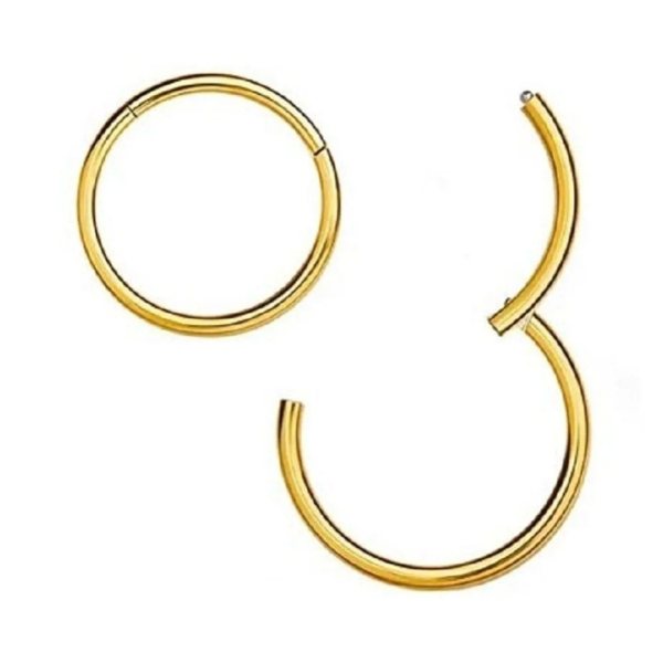 %100 Cerrahi Çelik "septum, Nose, Helix" "burun, Dudak, Kaş, Kıkırdak" Menteşeli Tam Halka Piercing